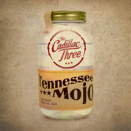 Album cover of Tennessee Mojo