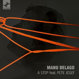 Album cover of A Step