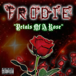 Album cover of Petals Of A Rose