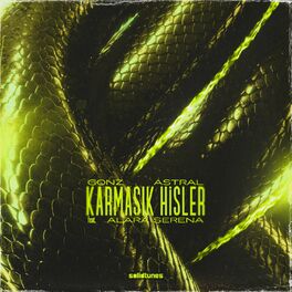 Album cover of Karmaşık Hisler