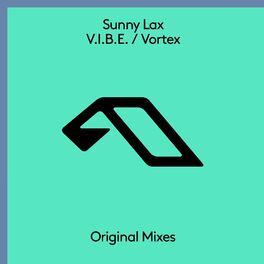 Album cover of V.I.B.E. / Vortex
