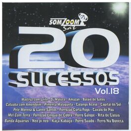Album cover of 20 Sucessos SomZoom Sat, Vol.18