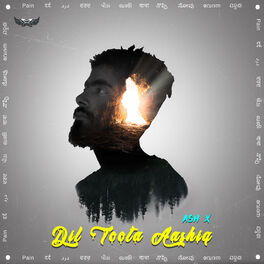 Album cover of Dil Toota Aashiq