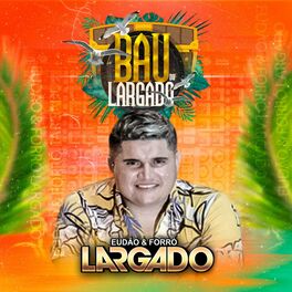 Album cover of Baú do Largado