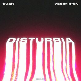 Album cover of Disturbia