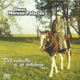 Album cover of Del Caballo y Su Pilchaje, Vol. 2