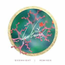 Album cover of Overnight Remixes