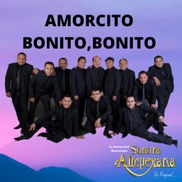 Album cover of Amorcito Bonito, Bonito