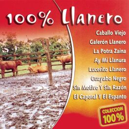 Album cover of 100% Llanero