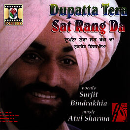 Album cover of Dupatta Tera Sat Rang Da