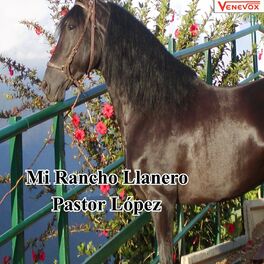 Album cover of Mi Rancho Llanero