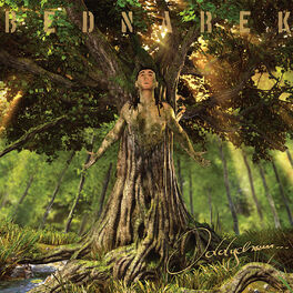 Album cover of Oddycham