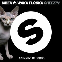 Album cover of Cheezin' (feat. Waka Flocka Flame)