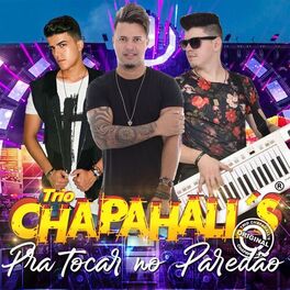 Album cover of Pra Tocar no Paredão