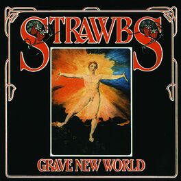 Album cover of Grave New World