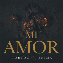 Album cover of Mi Amor