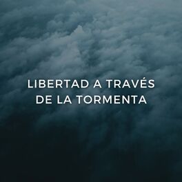 Album cover of Libertad A Través De La Tormenta