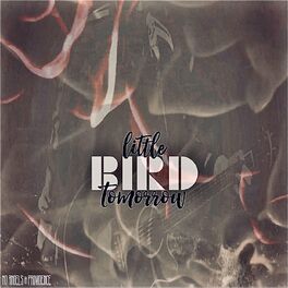 Various Artists - Birds of Prey: The Album Lyrics and Tracklist