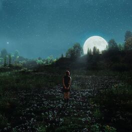 Album cover of 444/Ms. Moon
