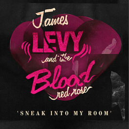Album cover of Sneak Into My Room