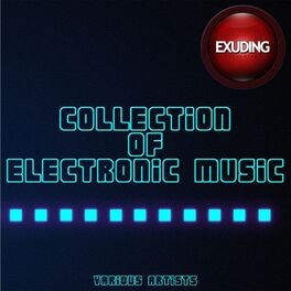 Album cover of Collection Of Electronic Music, Vol. 4