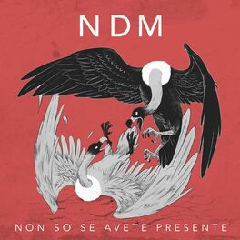 NDM m sicas com letras e lbuns Ouvir na Deezer