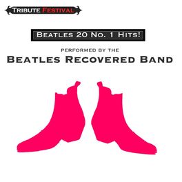 Album cover of Beatles 20 No. 1 Hits!
