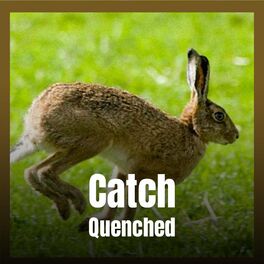 Album cover of Catch Quenched