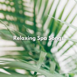 Album cover of Relaxing Spa Songs