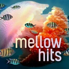 Album cover of Mellow Hits