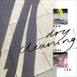 Album cover of New Long Leg