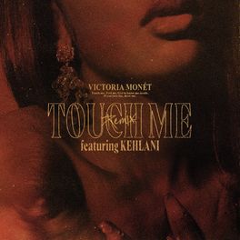 Album cover of Touch Me (Remix)