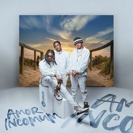Album cover of Amor Incomum