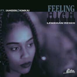 Album cover of Feeling High (Lenzman Remix)