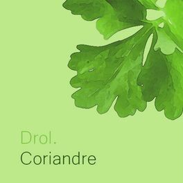 Album cover of Coriandre