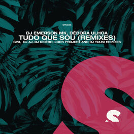 Album cover of Tudo Que Sou (Remixes)