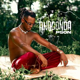 Album cover of Anaconda