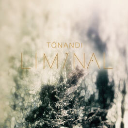 Album cover of Liminal 3