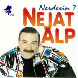 Album cover of Nerdesin?