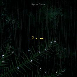 Album cover of 2 A.M.