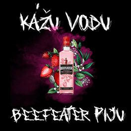 Album cover of Kážu vodu a Beefeater piju