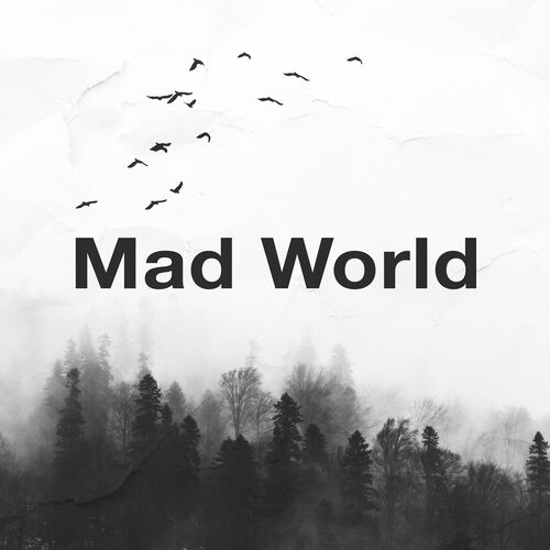 Mad World