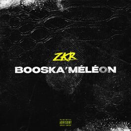 Album cover of Booska'méléon
