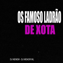 Album cover of OS FAMOSO LADRÃO DE XOTA 3