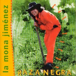 Album cover of Raza Negra
