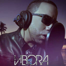 Album cover of Vibora