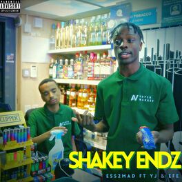 Album cover of Shakey Endz (feat. Yeabsra & Efe) [Radio Edit]