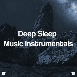 Album cover of Deep Sleep Music Instrumentals