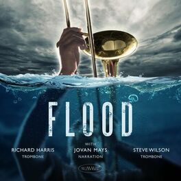 Album cover of FLOOD