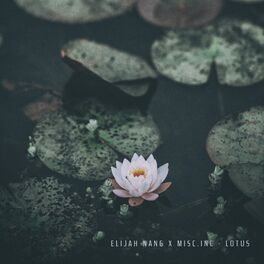 Album cover of Lotus